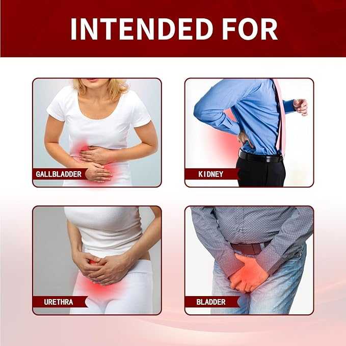 Renal Stone Patch
