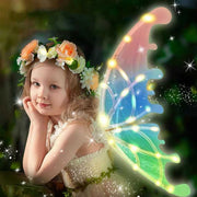 Butterfly Wings Bag