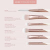 EcoTools - Exquisite Eye Kit
