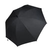 Fan Umbrella
