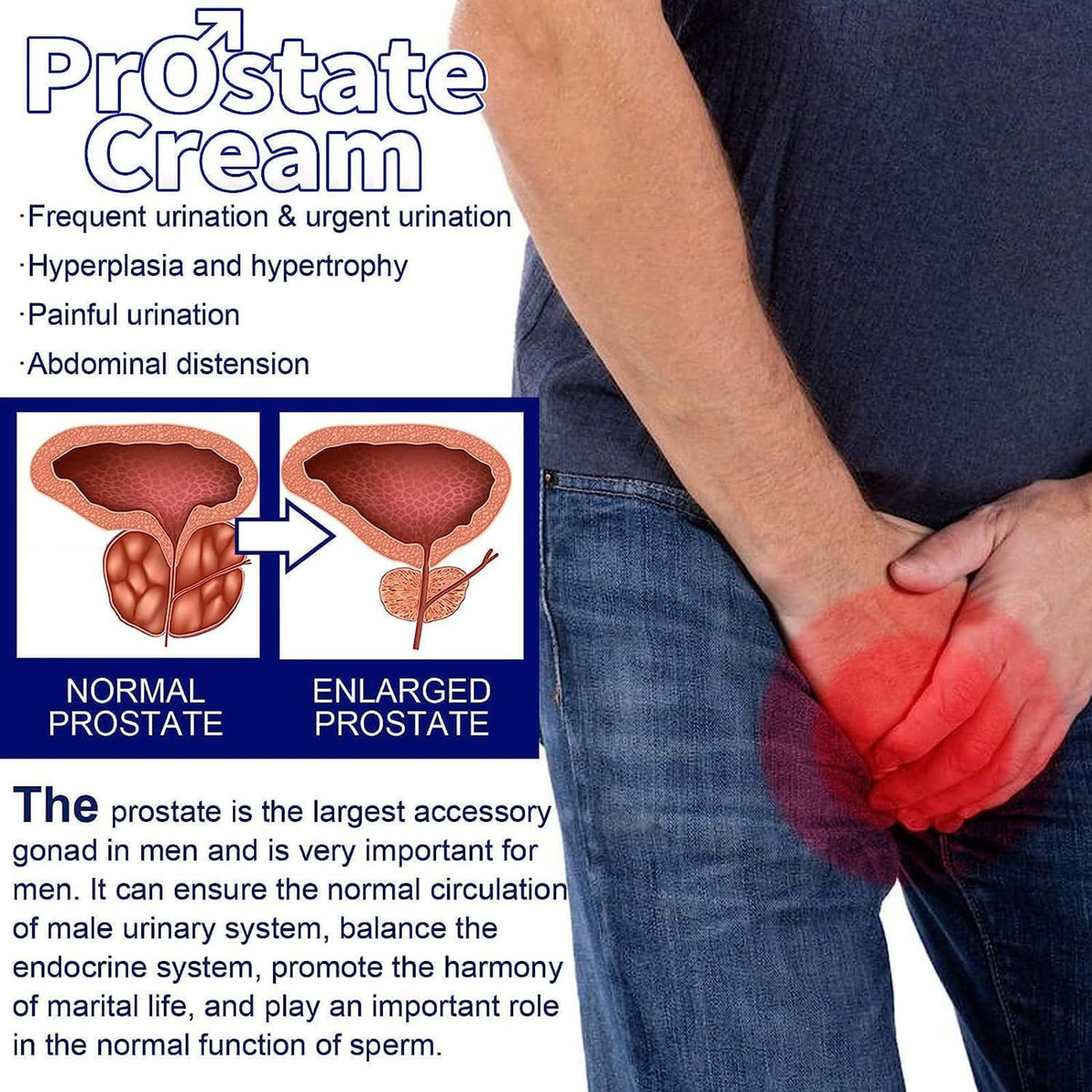 20g Prostate intimate care cream for men - bladder relief